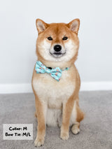 Dog Bow Tie - Dream Team (Final Sale)