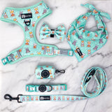 Ultimate Adjustable Harness Bundle Set - Dream Team (6-Piece) (Final Sale)