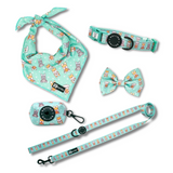 Ultimate Collar Bundle Set - Dream Team (5-Piece) (Final Sale)