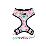 Classic Dog Harness - Full Bloom (Blue Paw Co. - FINAL SALE)