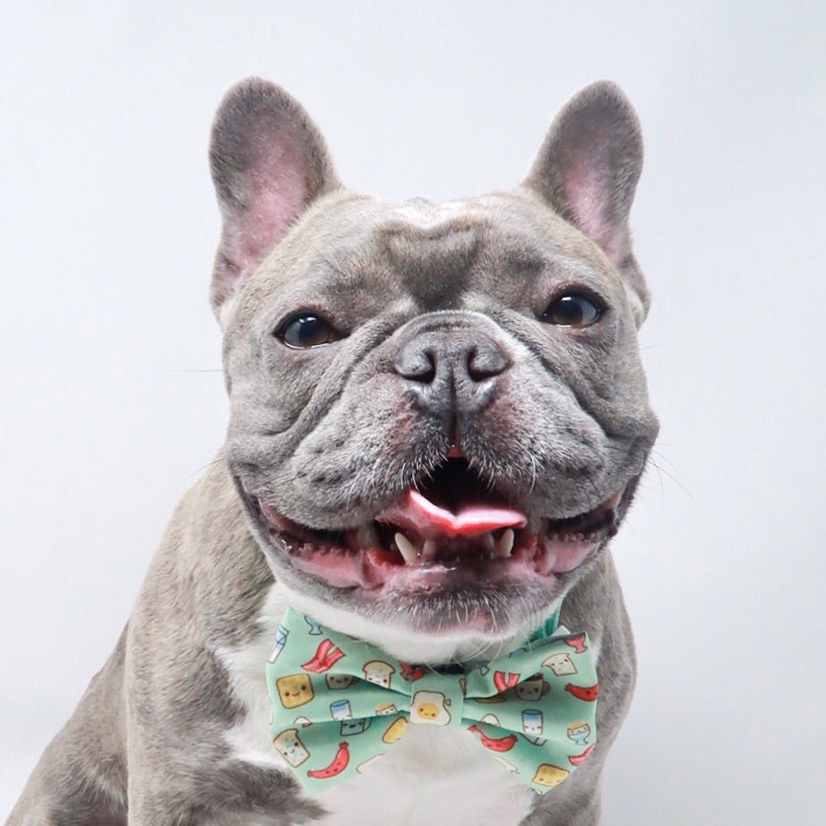 Ultimate Collar Bundle Set - Thanks A Brunch (4-Piece) (Final Sale)