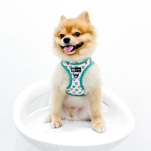 Step-In Dog Harness - Feel The Love