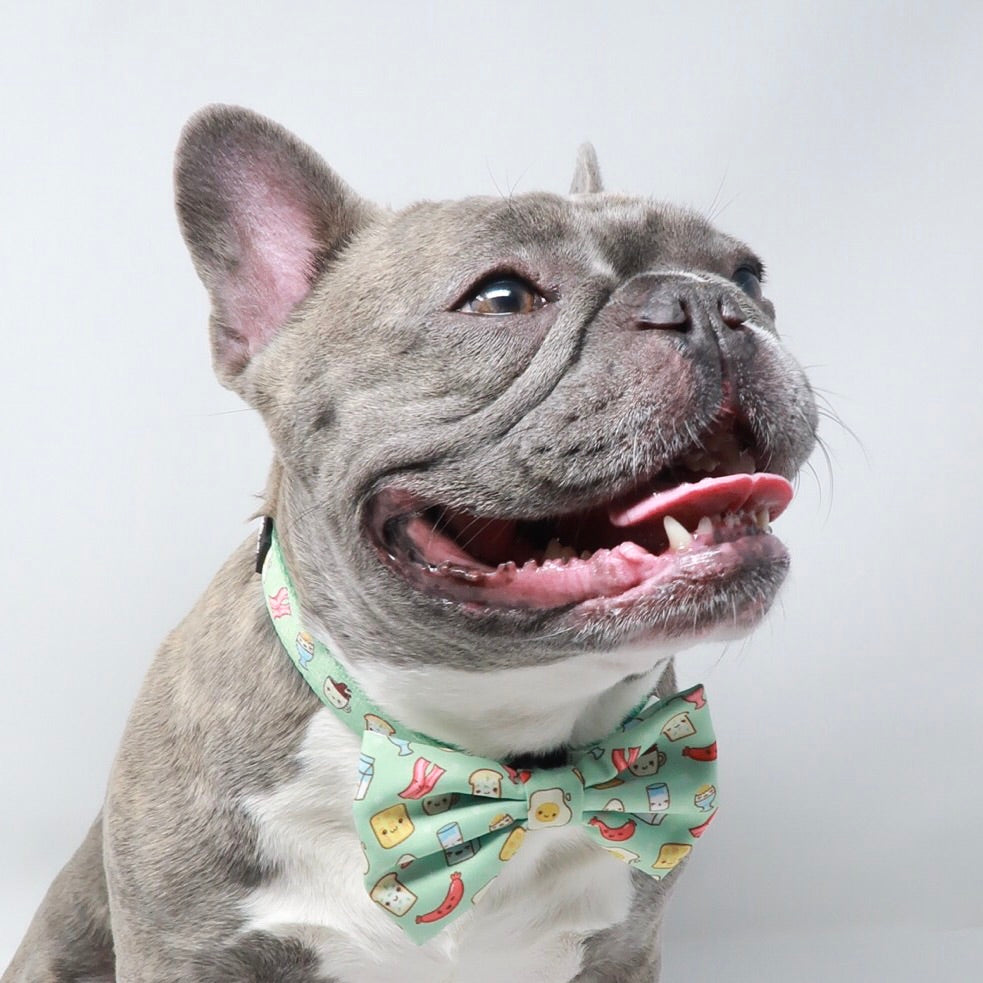 Ultimate Collar Bundle Set - Thanks A Brunch (4-Piece) (Final Sale)