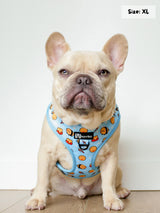 Adjustable Dog Harness - Honeybee (SECONDS - FINAL SALE)