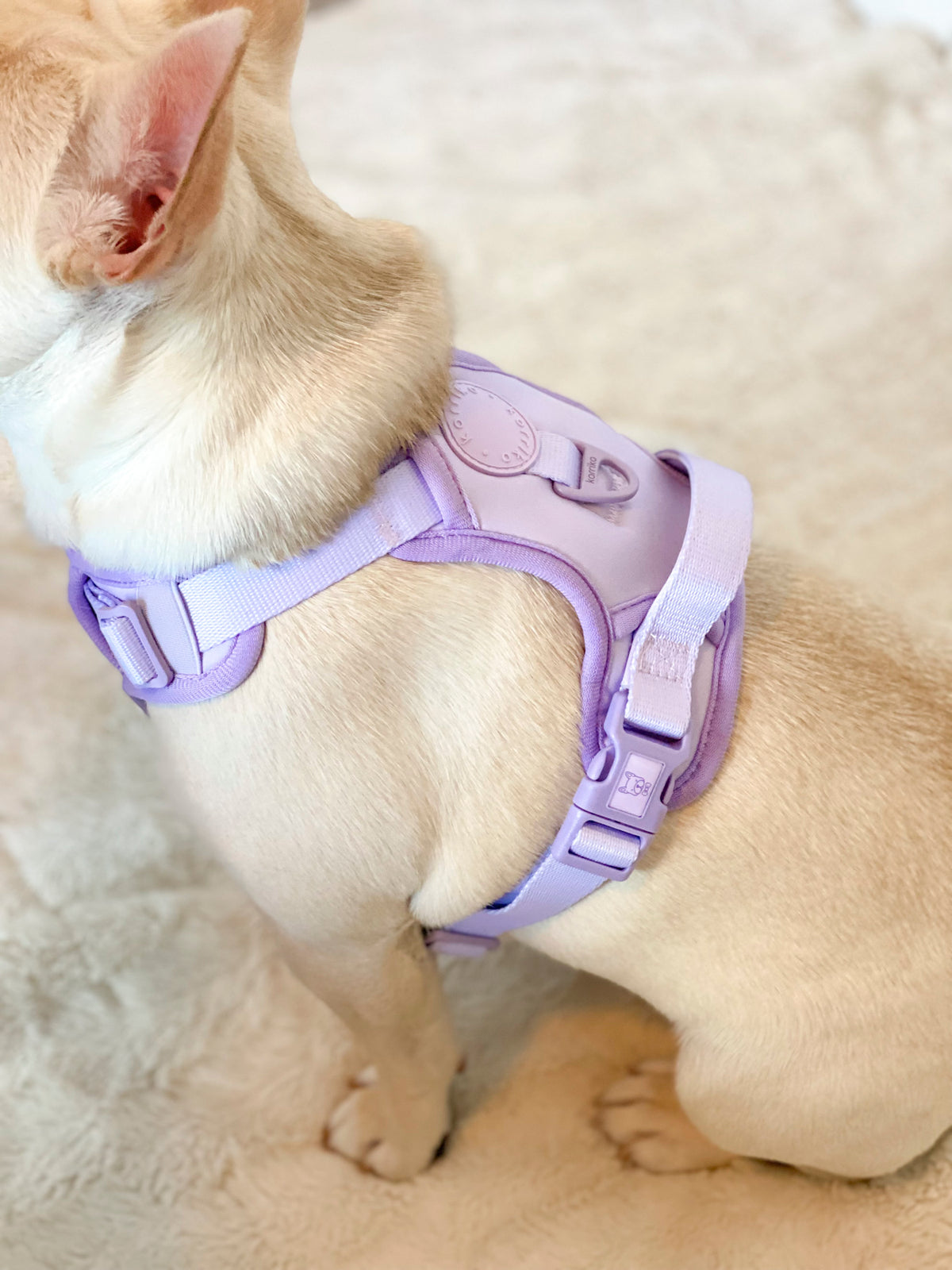 Exploration Lite No-Pull Dog Harness Lilac (Final Sale