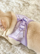Step-In Dog Harness - Lilac (Final Sale)