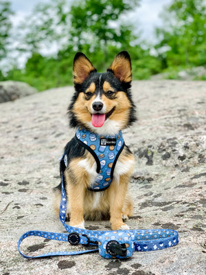 Reversible Dog Harness - Milky Way (Final Sale)