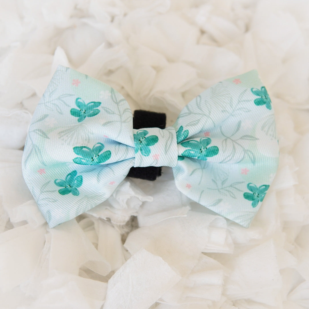 Ultimate Collar Bundle Set - Mint Sakura (5-Piece) (Final Sale)