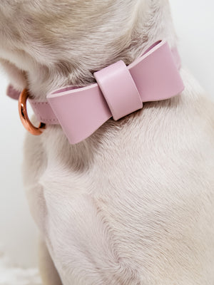 Signature Collar & Leash Set - Blush Pink (*PROMO*)