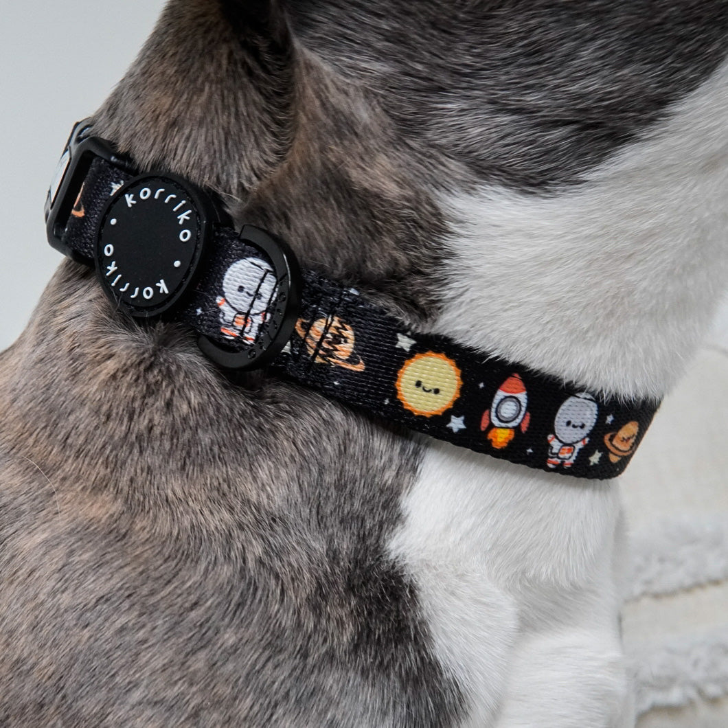 Dog Collar - Space Cadet