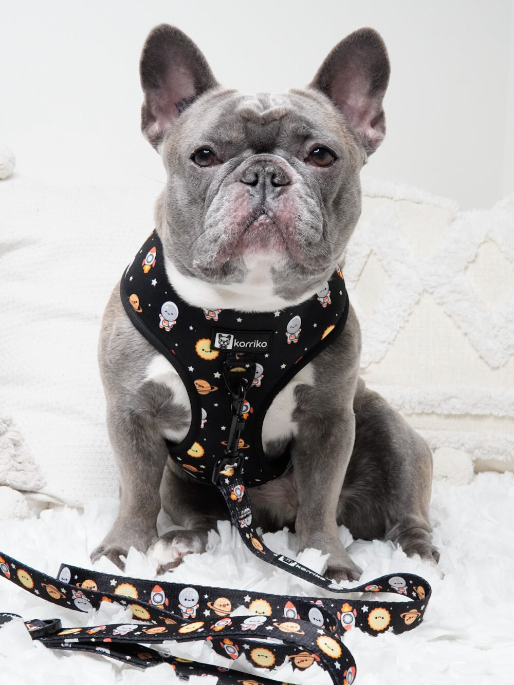 Classic No-Pull Dog Harness - Space Cadet
