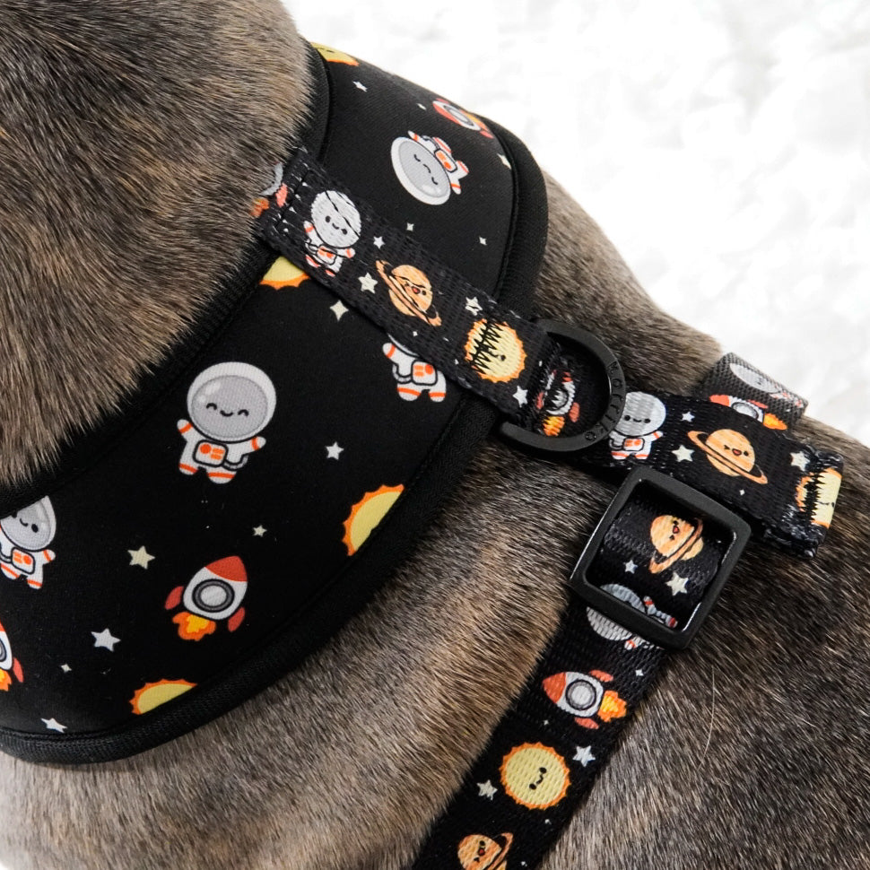Classic No-Pull Dog Harness - Space Cadet (Final Sale)