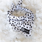 Cooling Dog Bandana - Spotted (Final Sale)