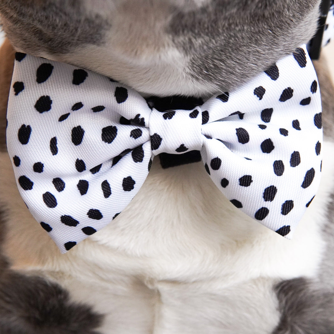 Dog Bow Tie - Spotted (SECONDS - FINAL SALE)