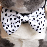 Dog Bow Tie - Spotted (SECONDS - FINAL SALE)