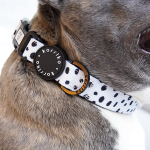 Dog Collar - Spotted (Final Sale)