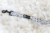 Dog Leash - Spotted (Final Sale)