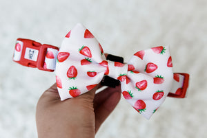 Dog Collar - Strawberries & Cream (Final Sale)