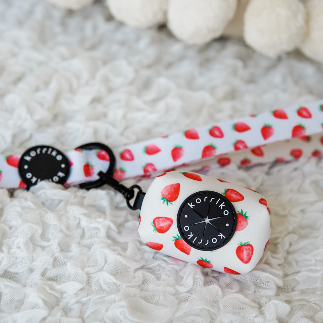 Essential Step-In Harness Walk Set - Strawberries & Cream (3-Piece)