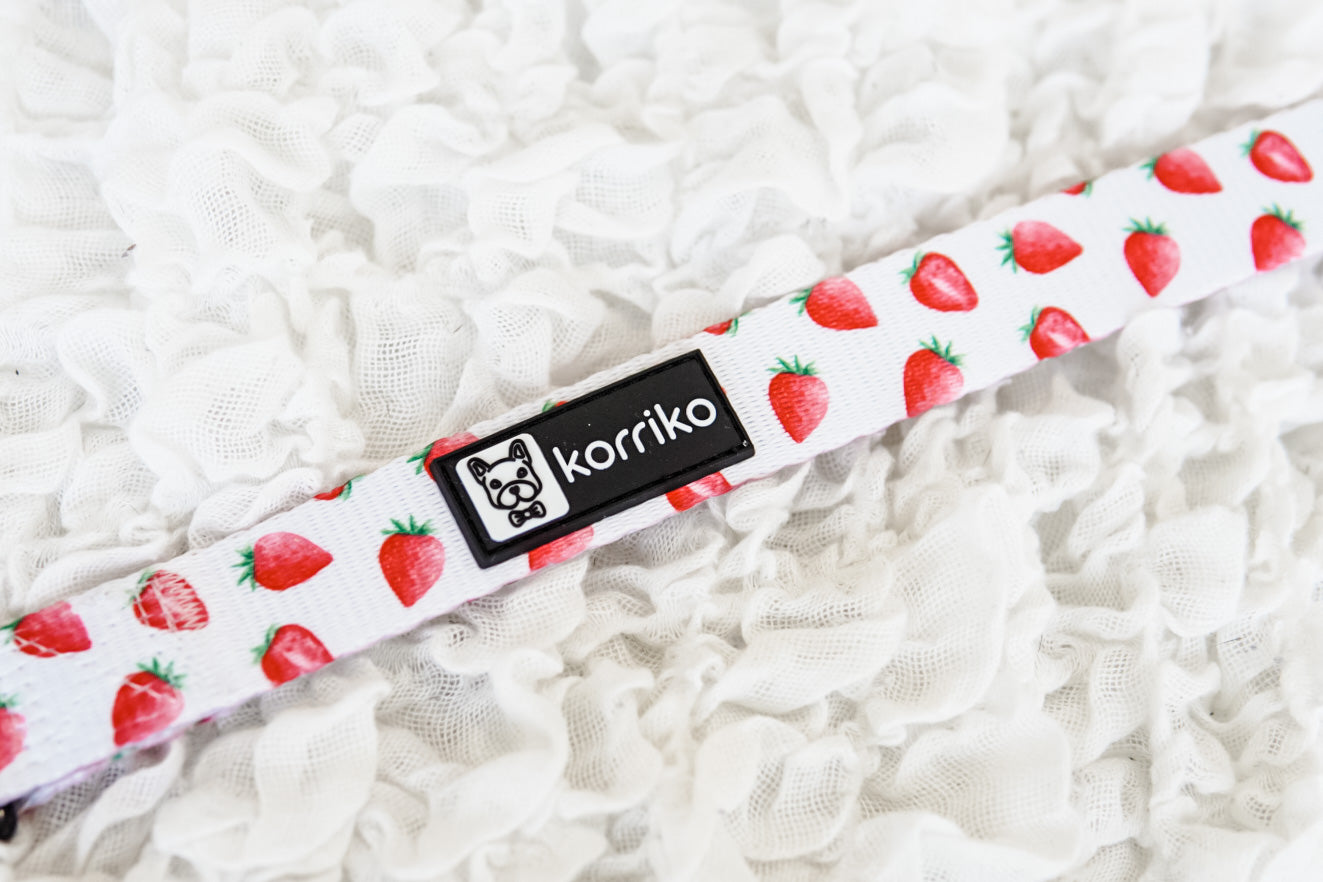 Essential Step-In Harness Walk Set - Strawberries & Cream (3-Piece)