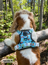 Exploration Lite No-Pull Dog Harness - Sushi