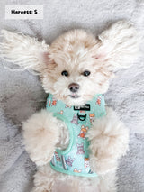 Ultimate Adjustable Harness Bundle Set - Dream Team (6-Piece) (Final Sale)