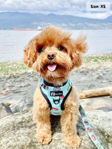 Adjustable Dog Harness - Sushi